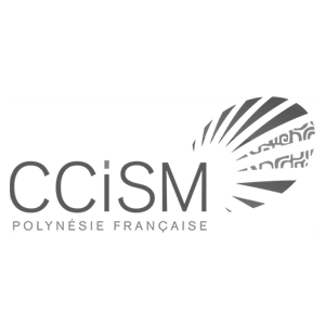 logo ccism
