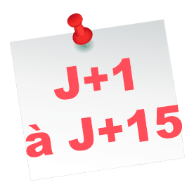 Calendrier des élections CSE - J1-J15