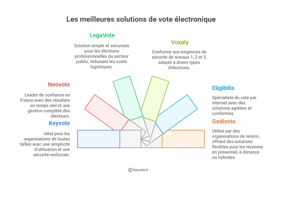 Infographie - Meilleures solutions de vote électronique